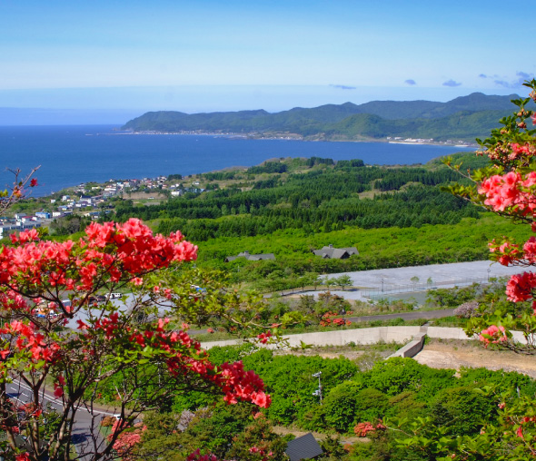 その他函館エリア
