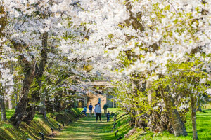 松前藩戸切地陣屋跡【北斗市】