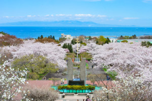 オニウシ公園【森町】