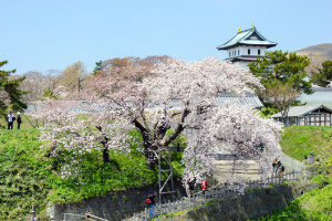 松前公園【松前町】