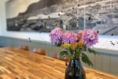 Jolly Jellyfish 元町公園店4