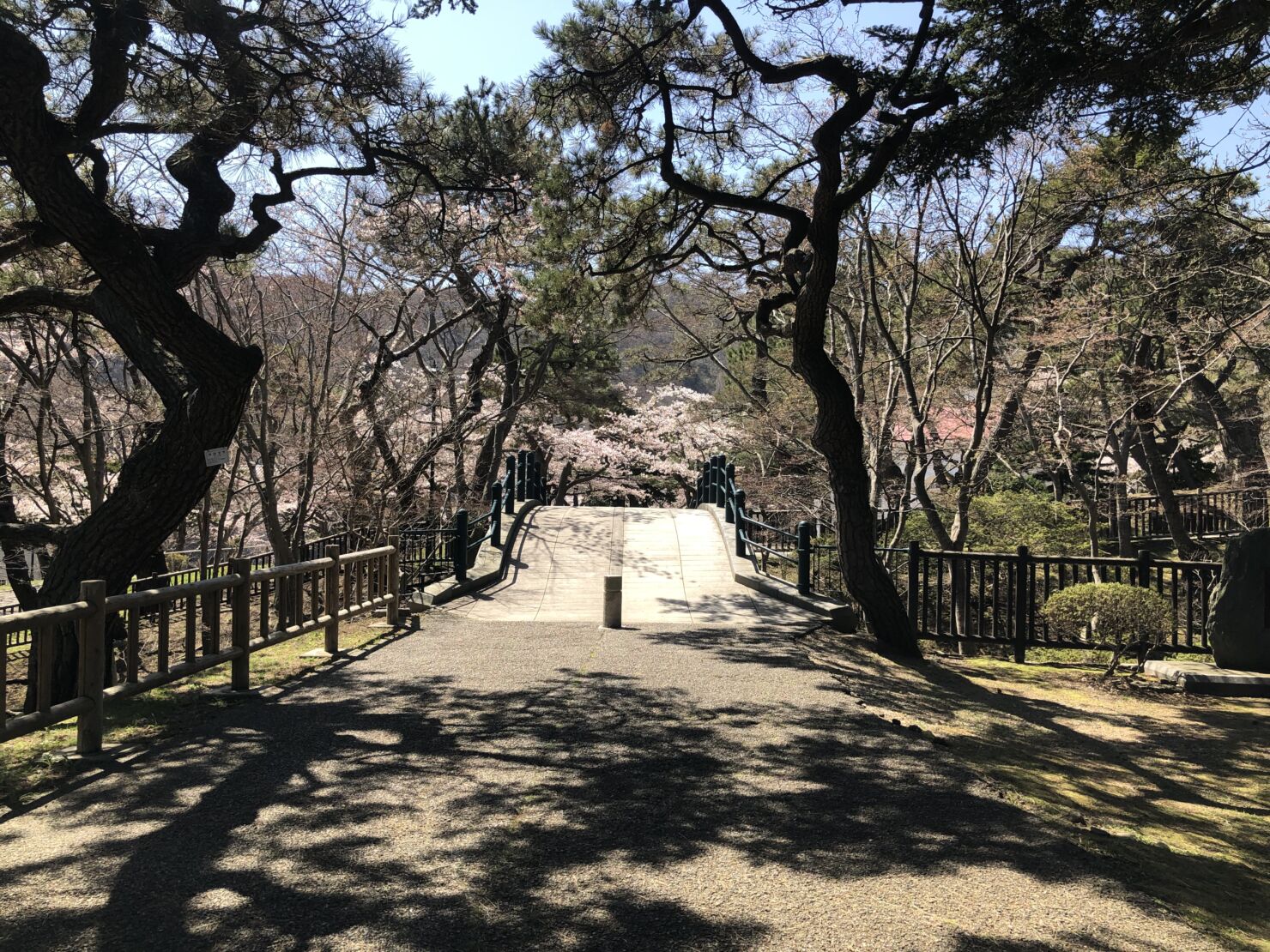 函館公園
