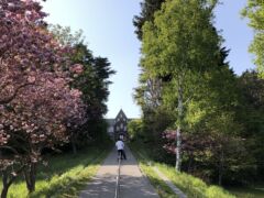 トラピスト修道院