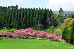 トラピスト修道院