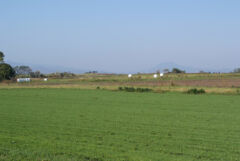 ライブラリー / 牧歌的風景