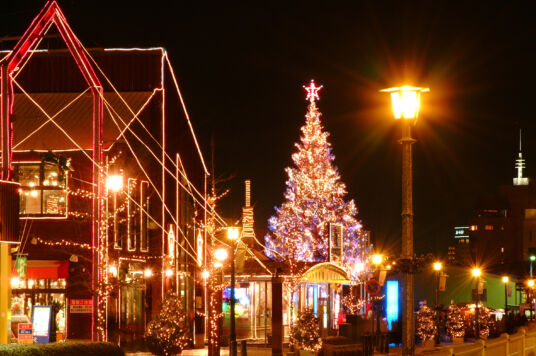 2021はこだてクリスマスファンタジー