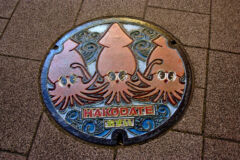 ライブラリー / カラーマンホール01