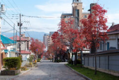 ライブラリー / 大三坂02