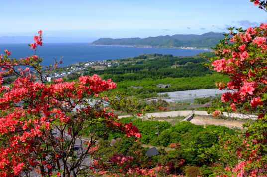 恵山つつじ公園