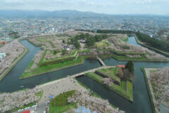 特別史跡五稜郭跡（五稜郭公園）
