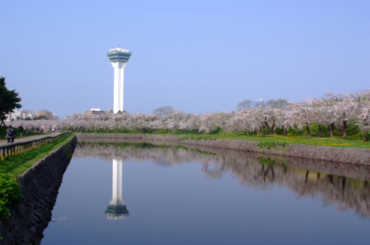 桜開花時期とゴールデンウィーク期間中の営業時間変更のお知らせ