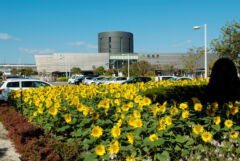 ライブラリー / 函館駅02