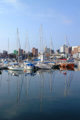 ライブラリー / ハーバー01