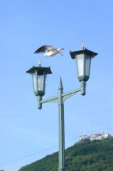 ライブラリー / ハーバー02