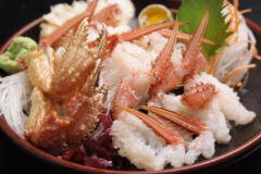 ライブラリー / かに02