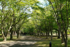 ライブラリー / 香雪園(見晴公園)02