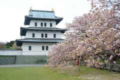 ライブラリー / 松前城02［松前町］