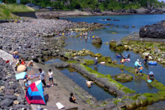 ライブラリー / 水無海浜温泉