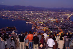 ライブラリー / 函館山夜景01