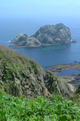 ライブラリー / 武井の島