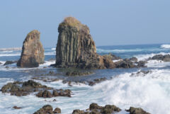 ライブラリー / サンタロナカセ海岸