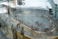 ライブラリー / 函館市熱帯植物園03