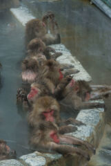ライブラリー / 函館市熱帯植物園04