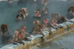 函館市熱帯植物園1