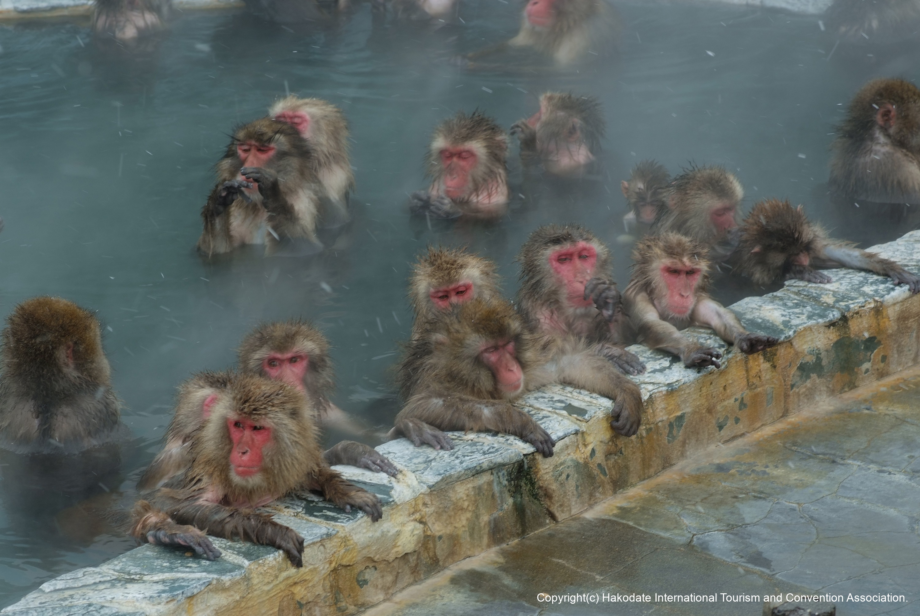 函館市熱帯植物園1