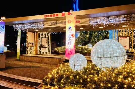 湯の川冬の灯り（2021-2022）