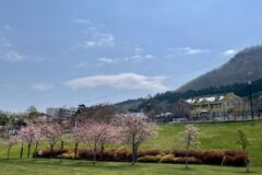 ペリー提督来航記念碑３