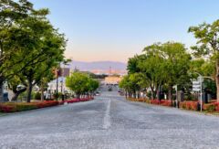 ライブラリー / 基坂03