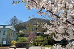 ライブラリー / 元町公園05