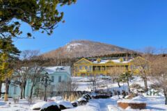 ライブラリー / 元町公園06