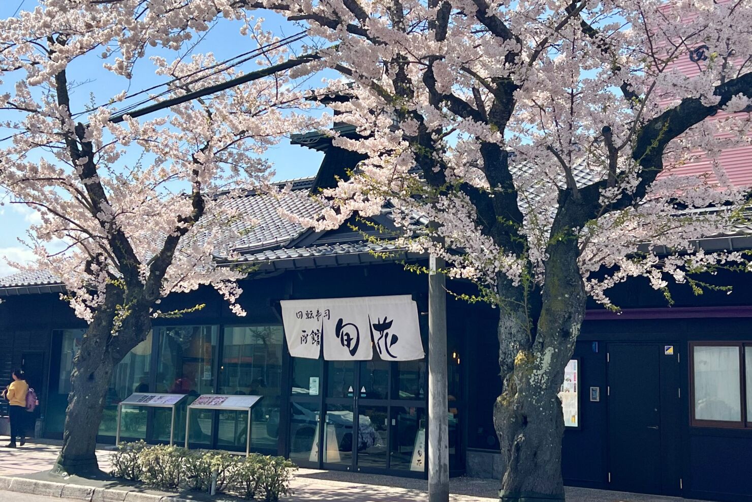 回転寿司函館旬花1