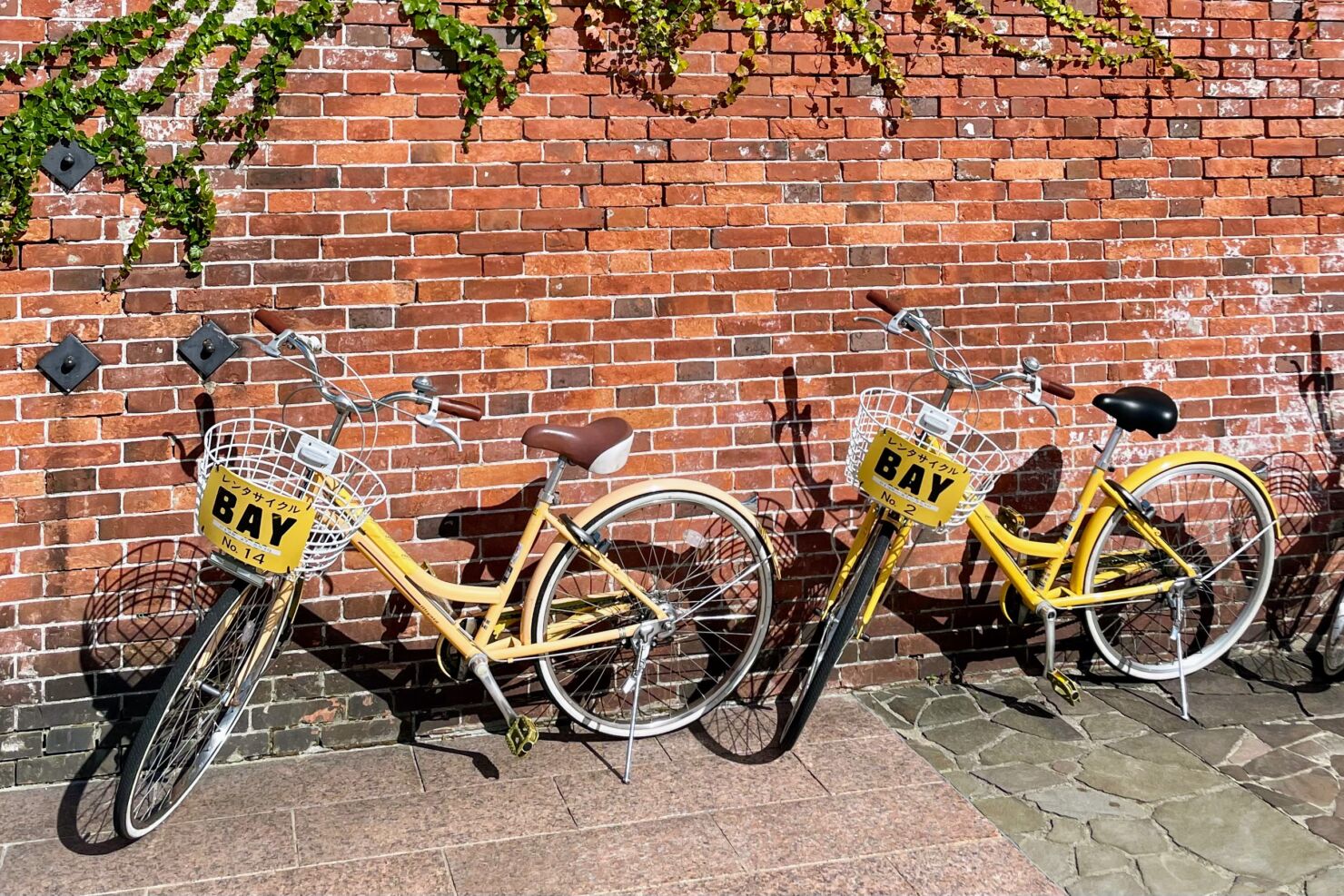 レンタサイクル2