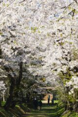 松前藩戸切地陣屋跡