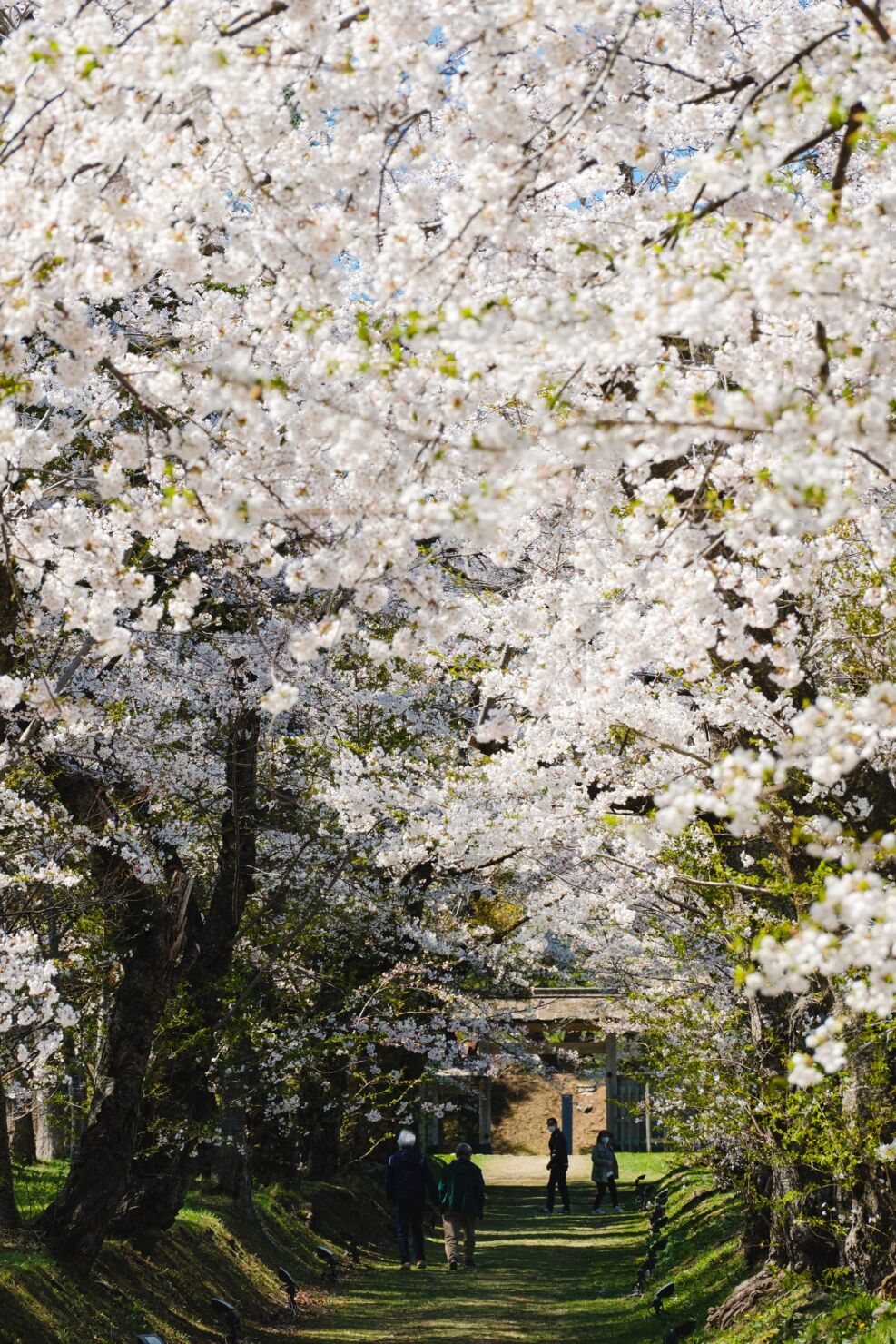 松前藩戸切地陣屋跡