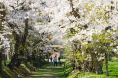 松前藩戸切地陣屋跡