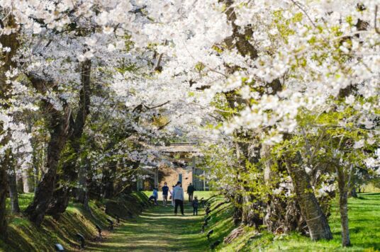 松前藩戸切地陣屋跡
