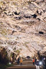 松前藩戸切地陣屋跡