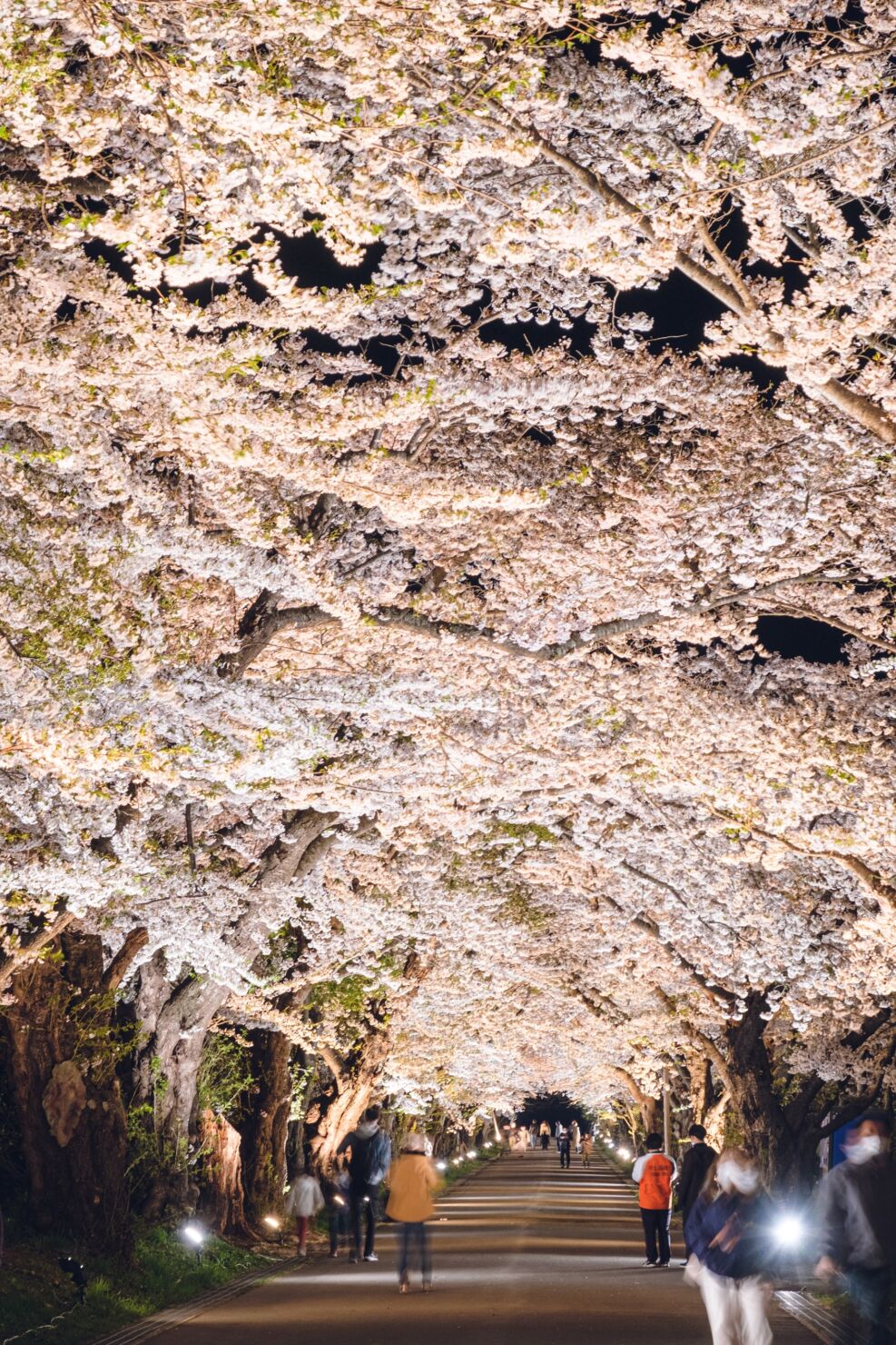 松前藩戸切地陣屋跡