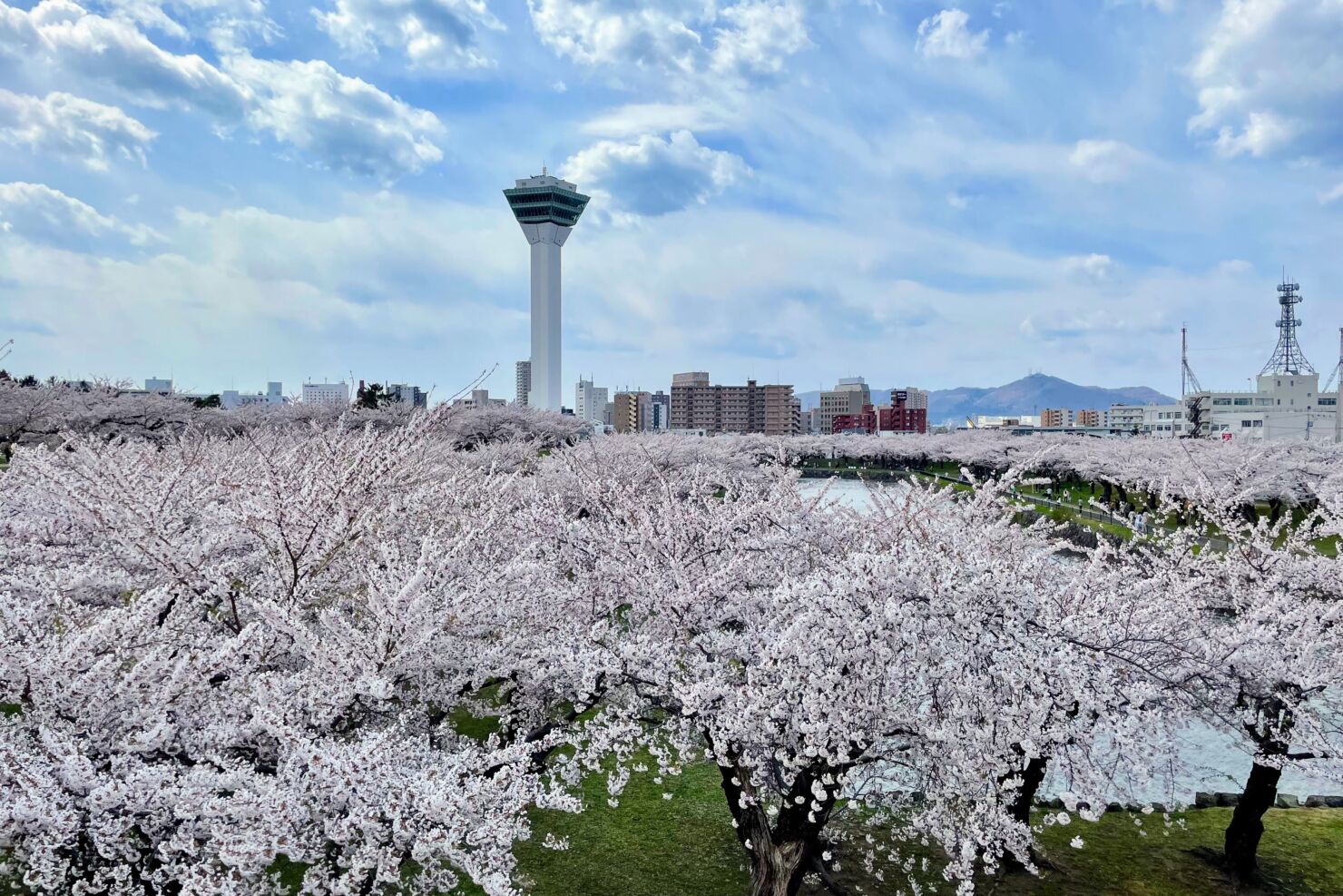 五稜郭公園郭内