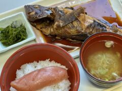 道の駅しかべ間歇泉公園４